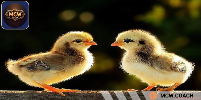 Lưu ý quan trọng mà bạn cần nắm được