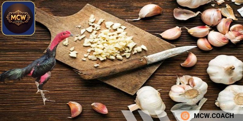 Lưu ý quan trọng mà các bet thủ nên nắm được