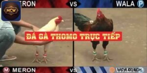 Tỷ lệ thắng có thể lên tới 1:0.95 hoặc 1:1.05
