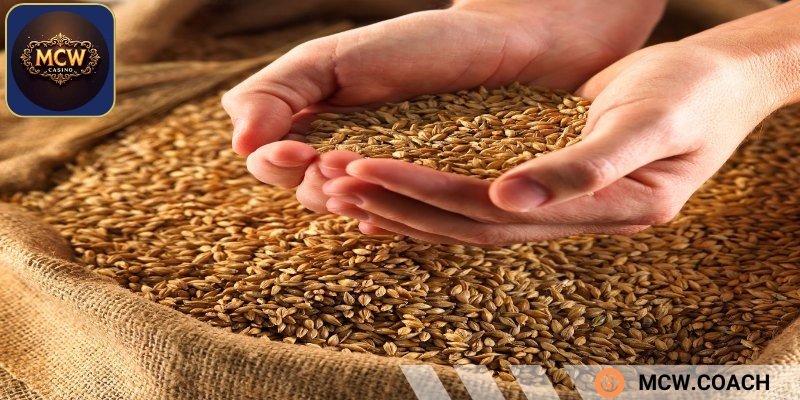 Thức ăn chính cho giống gà cựa nhật nguyệt