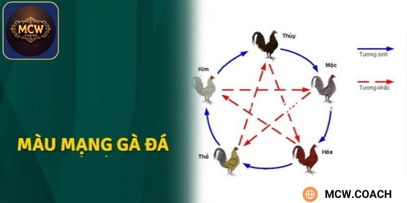 Liệu rằng màu mạng gà đá có thật sự đáng tin không?